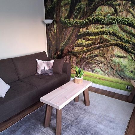 Apartament Natura Лідзбарк-Вармінський Екстер'єр фото