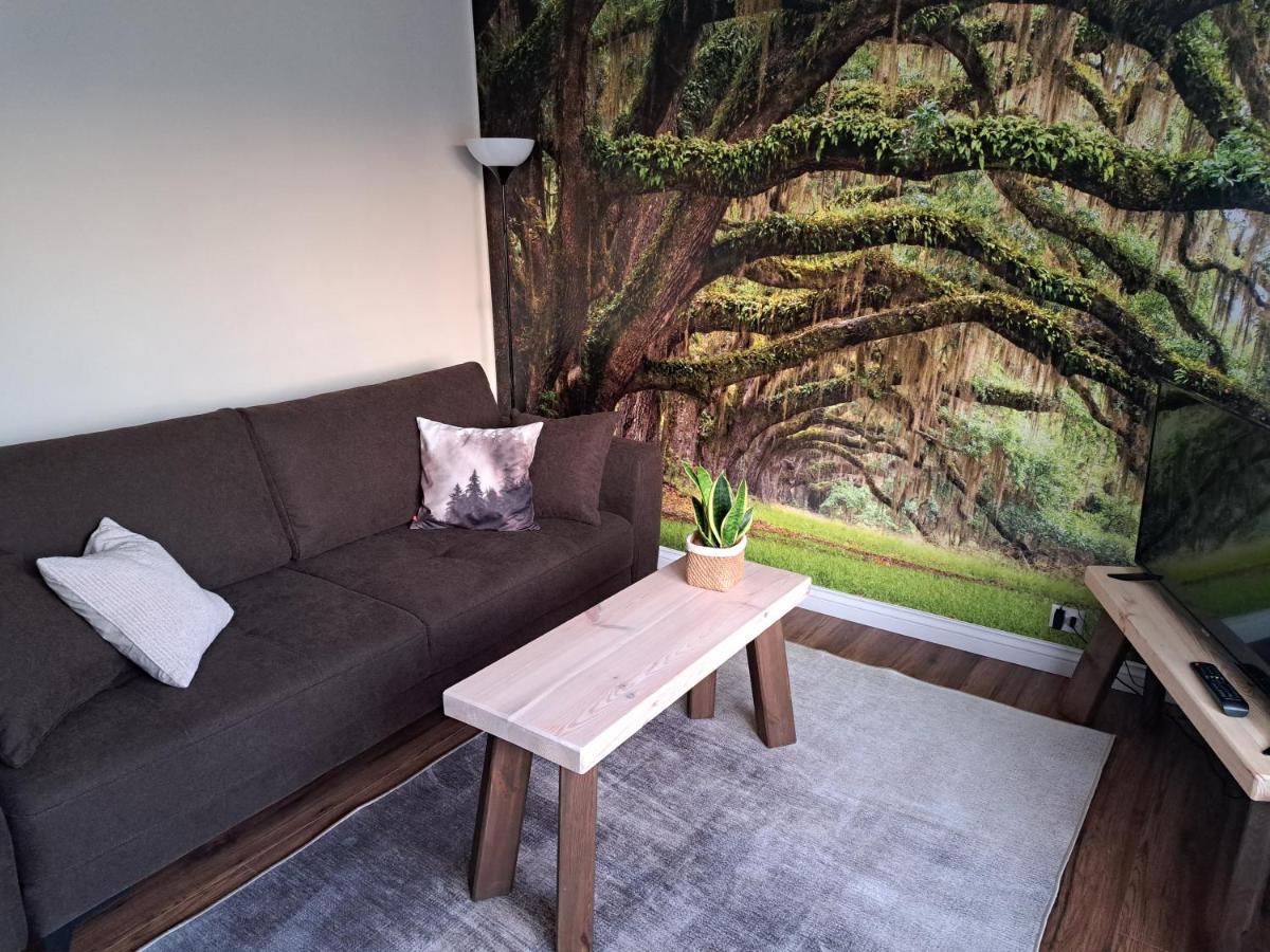 Apartament Natura Лідзбарк-Вармінський Екстер'єр фото